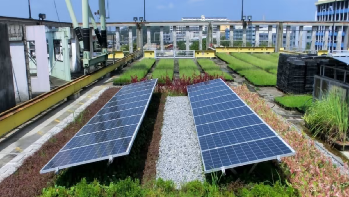 pulau ubin microgrid testbed (solar panels)